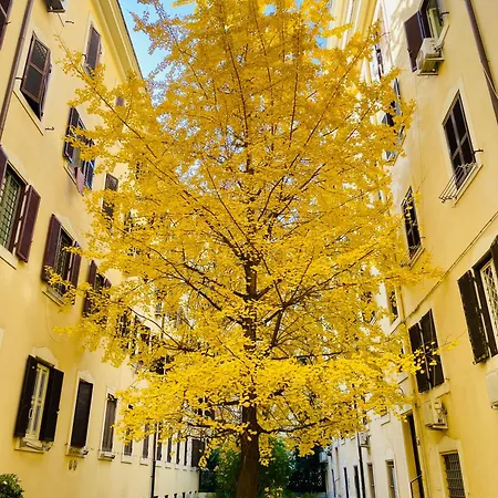 Appartement Il Cortile Del 900 *